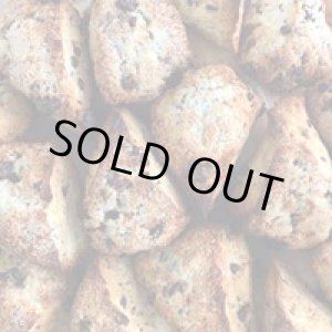 画像: クリームスコーン　チョコレート4個入り
